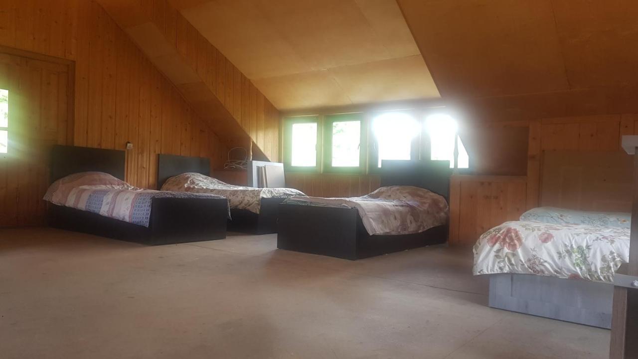 Hostel The Misty Mountains Mestia Bagian luar foto
