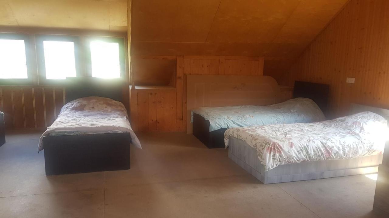 Hostel The Misty Mountains Mestia Bagian luar foto